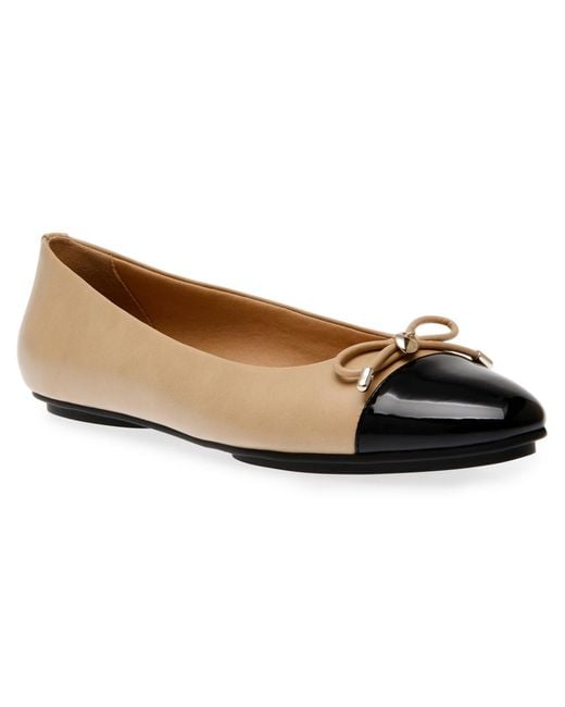 Anne Klein Multicolor Luci Cap Toe Ballet Flats