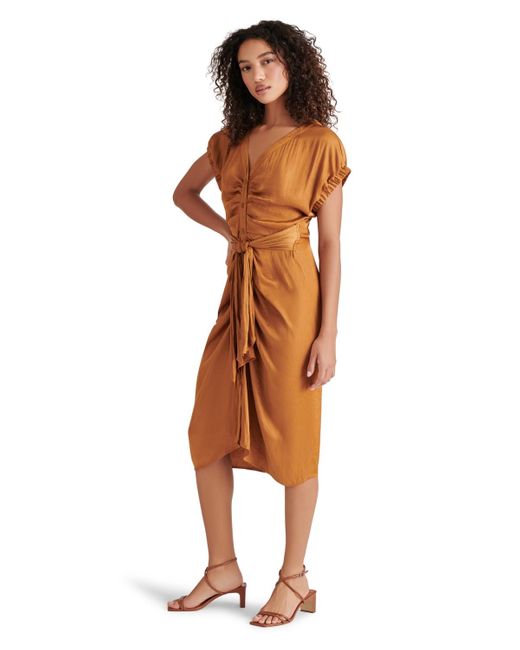 Steve Madden Multicolor Bruno Tie-waist Button-front Dress