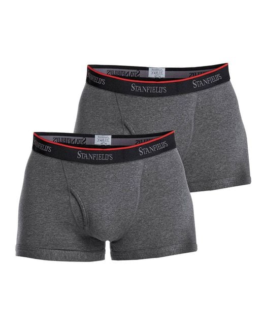 Stanfield's Gray Cotton Stretch 2 Pack Trunk Underwear for men
