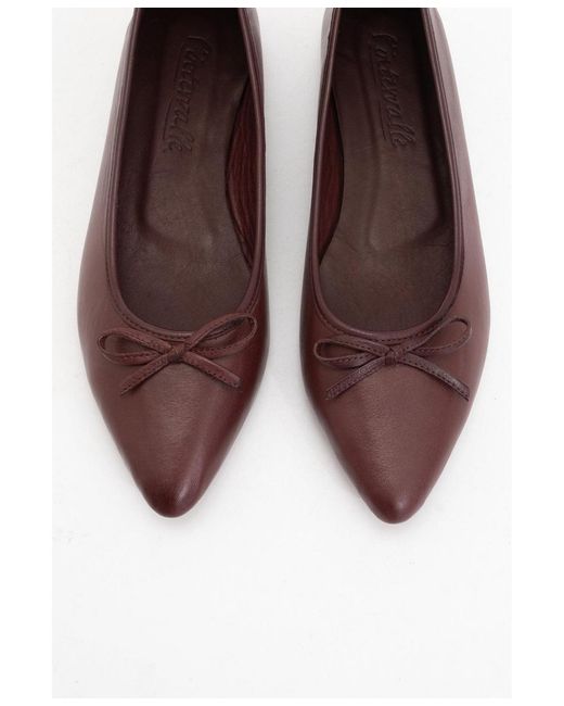 Forever & Always Shoes Brown Ruby Leather Pointed Toe Flats