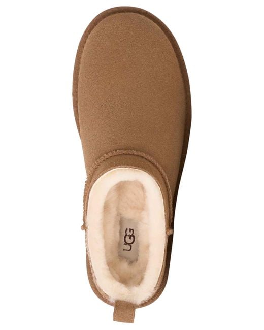 Ugg Brown Classic Micro Pull Tab Booties