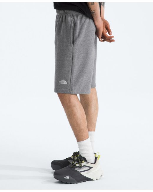 The North Face Gray Evolution Simple Dome Shorts for men