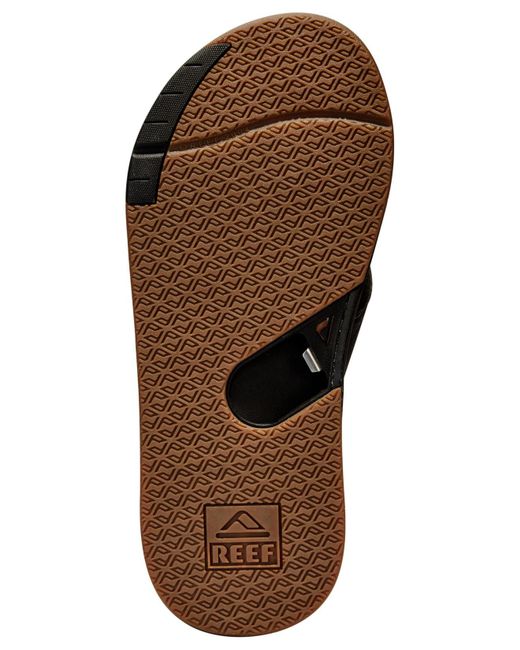 reef fanning low brown