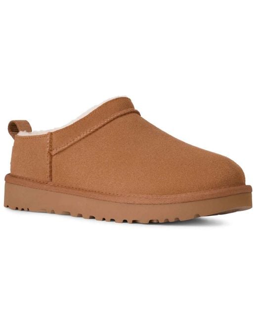 Ugg Brown Classic Micro Pull Tab Booties