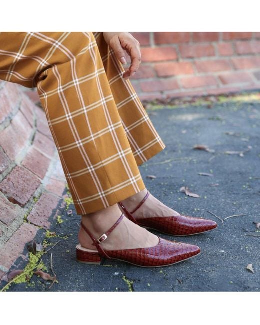 Alterre Red Amal Customizable Point Slides
