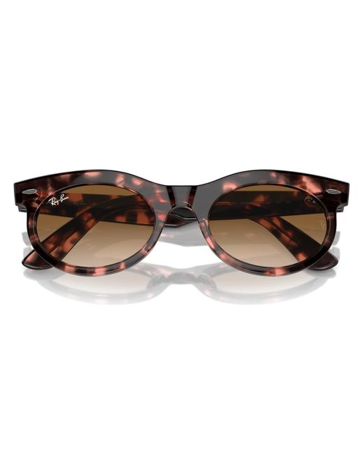 Ray-Ban Brown Sunglasses