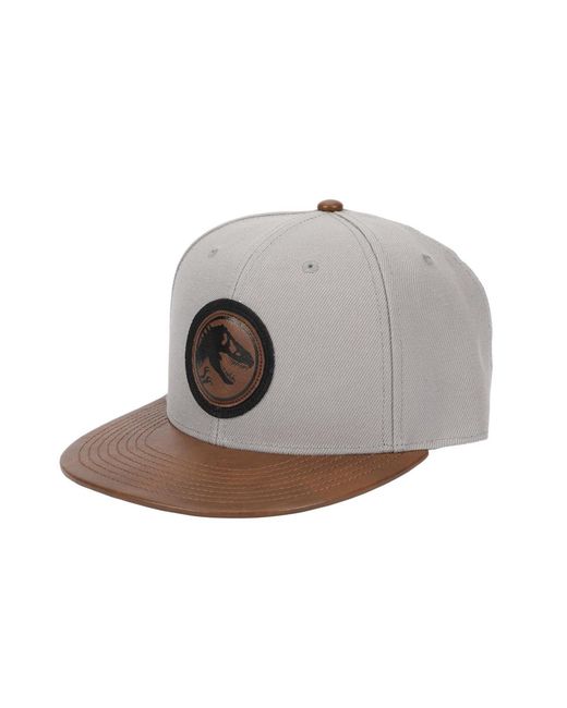 Jurassic Park Gray Logo Woven Patch White Snapback Hat for men