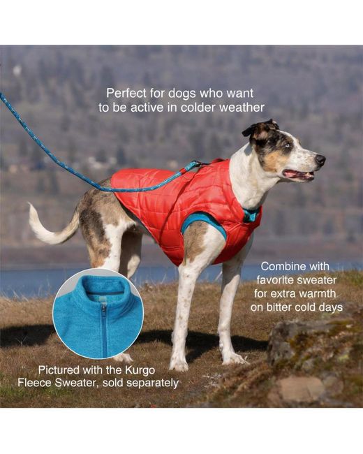 Aronkl Purple Loft Dog Jacket: Insulated