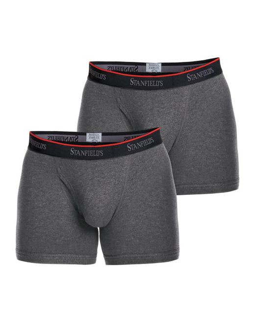 Stanfield's Gray Cotton Stretch 2 Pack Boxer Brief Underwear for men