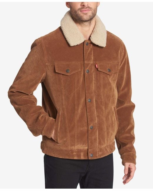 Levi's Brown Sherpa Lined Faux - Suede Classic Trucker Jacket for men