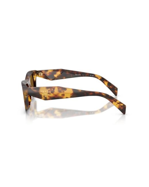 Prada Brown Polarized Sunglasses
