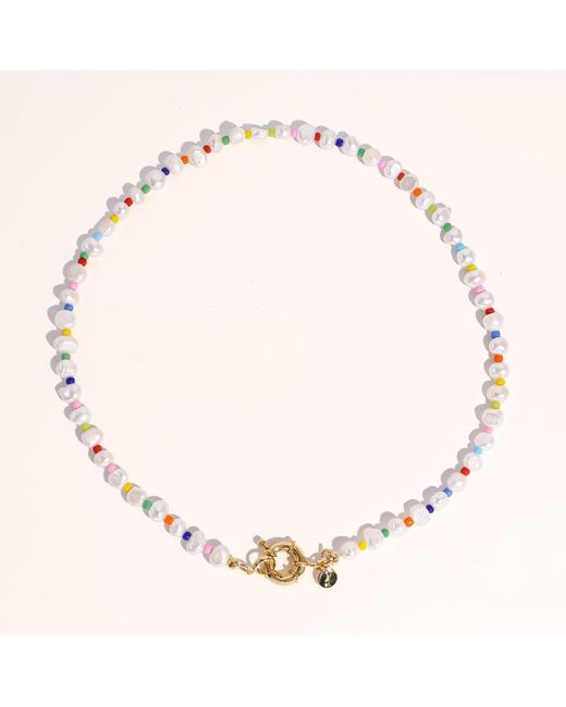 Joey Baby Brown 18k Gold Plated & Freshwater Pearls Amber Rainbow Pearls Necklace