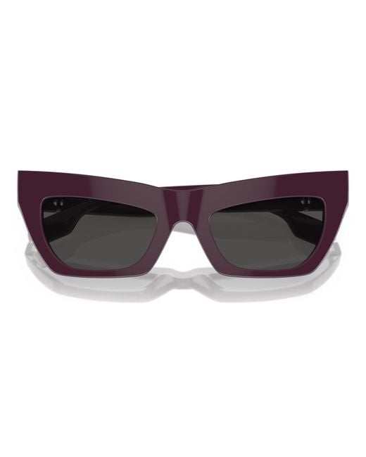 Burberry Brown Sunglasses Be4405