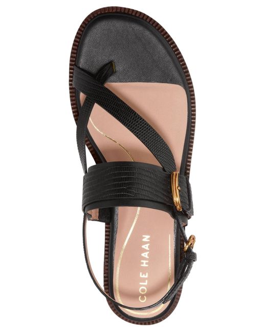 Cole Haan Brown Anica Lux Buckle Flat Sandals