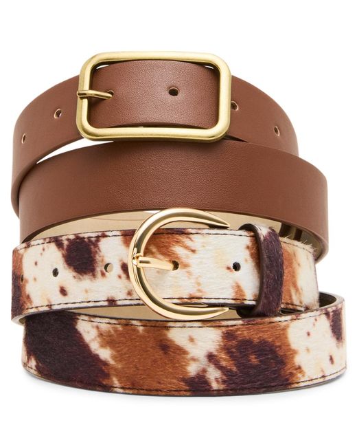 Steve Madden Brown Glossy Rectangular Buckle Belt
