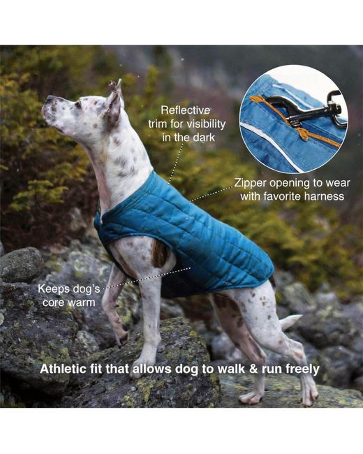 Aronkl Purple Loft Dog Jacket: Insulated