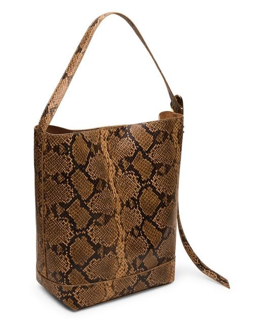Steve Madden Brown Bdenise Small Bucket Bag