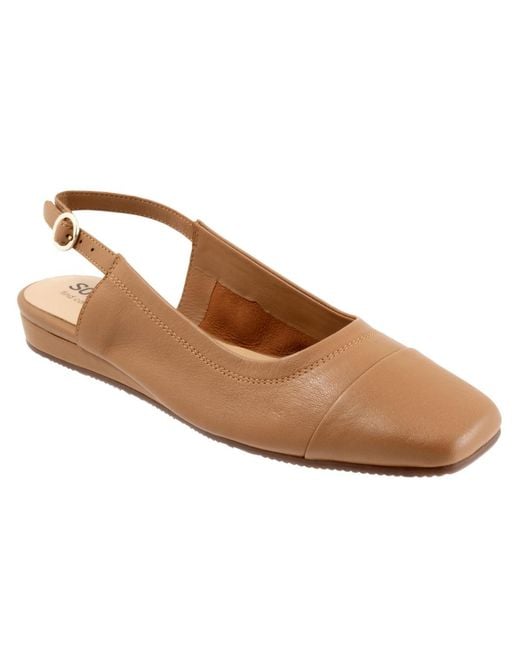 Softwalk® Brown Vittoria Flat