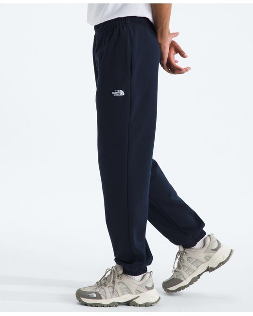 The North Face Blue Evolution Simple Dome Pants for men