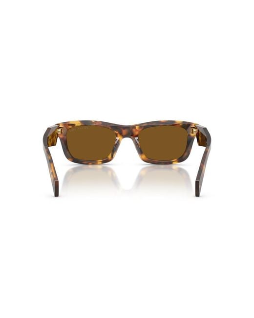 Prada Brown Polarized Sunglasses