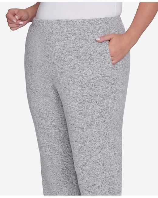 Ruby Rd Gray Plus Size Pull On Cozy Hatchi Pants