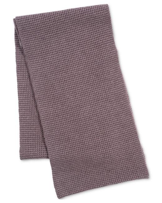 Alfani Purple Scarf for men