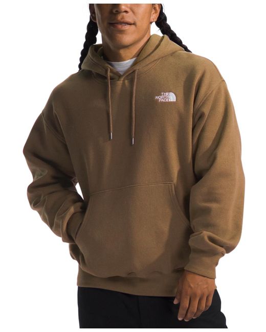 The North Face Brown Evolution Vintage Hoodie for men