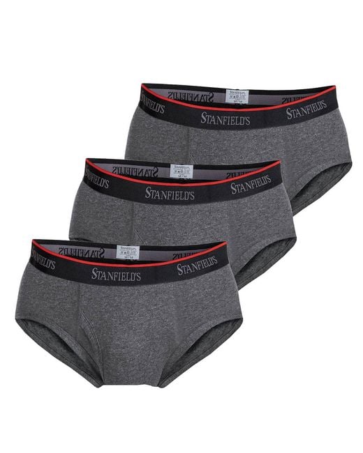 Stanfield's Gray Cotton Stretch 3 Pack Brief Underwear for men