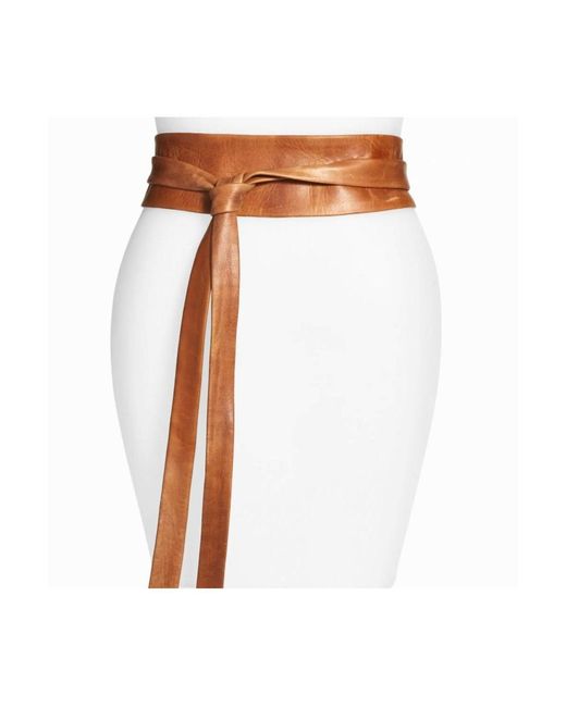 Ada Multicolor Classic Wrap Belt Plus Size