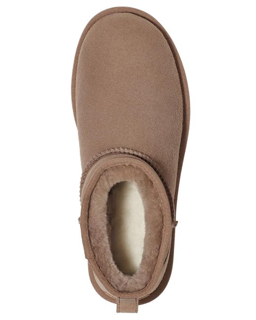 Ugg Brown Classic Ultra Mini Booties