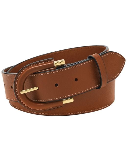Fossil Brown Harwell Belt