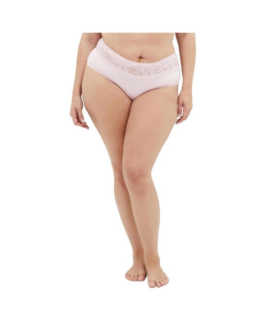 City Chic Pink Plus Size Iris 3 Pack Cotton Cheeky Panty