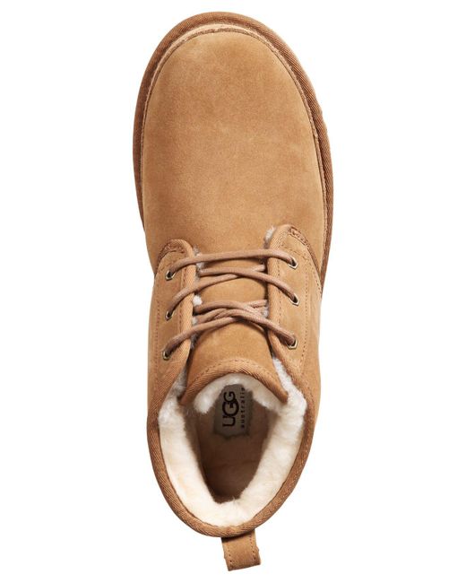 macys mens uggs