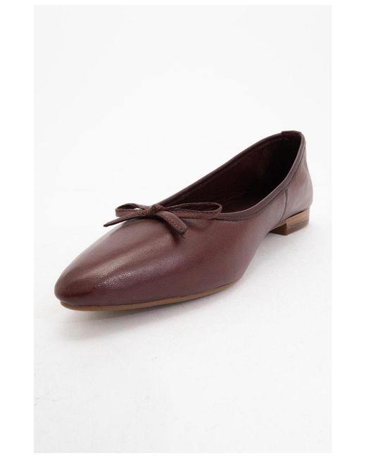 Forever & Always Shoes Brown Ruby Leather Pointed Toe Flats