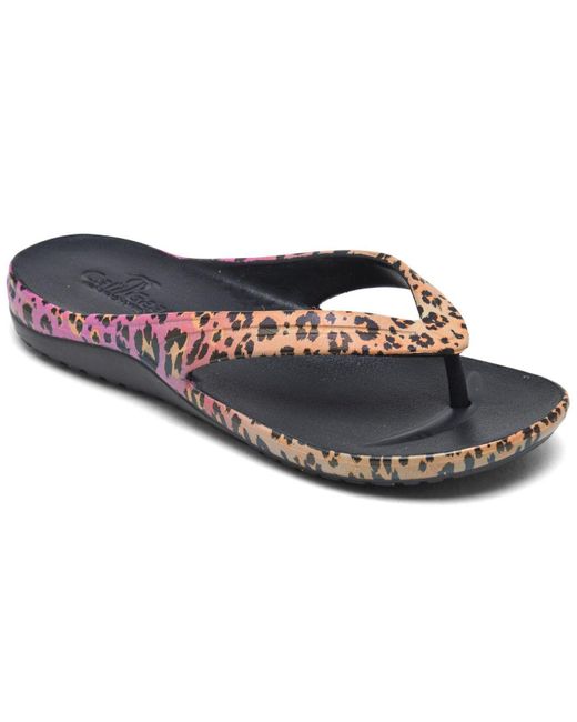 Skechers Synthetic Cali Gear Leopard Flip Flop Thong Sandals From Finish  Line in Black - Lyst