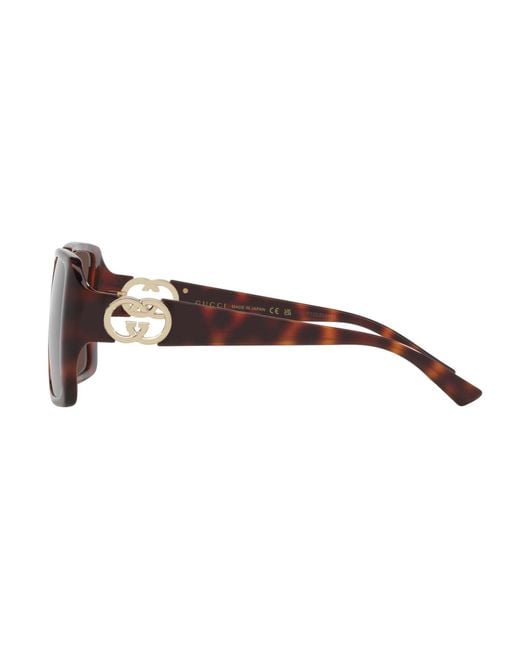 Gucci Brown Large Sunglasses