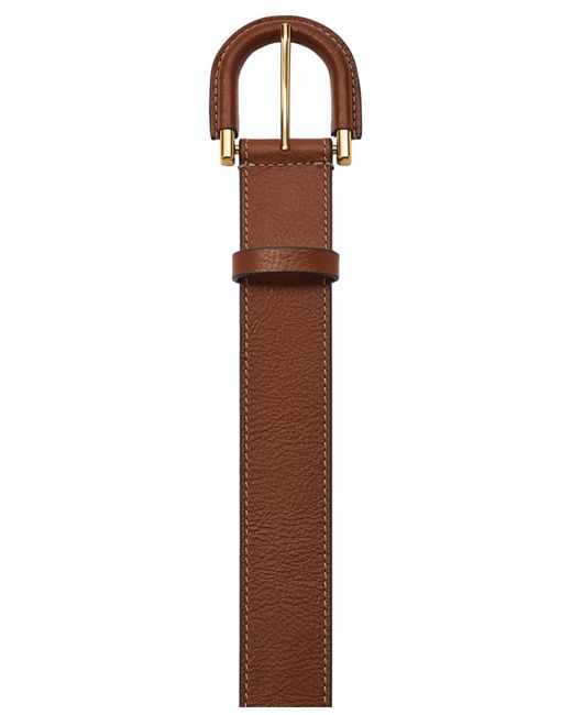 Fossil Brown Harwell Belt