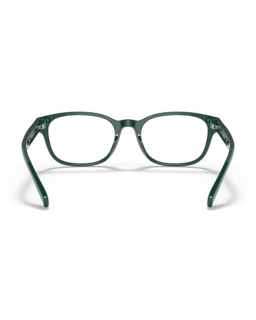 Polo Ralph Lauren Multicolor Panthos Eyeglasses for men