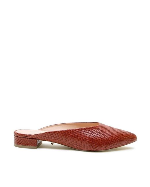 Alterre Brown twiggy Customizable Point Slide