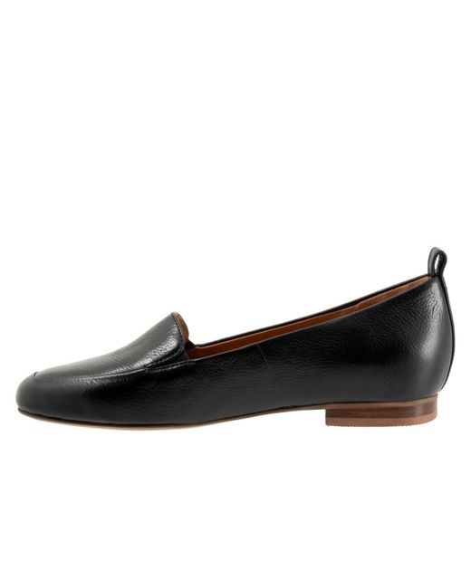 Softwalk® Brown Kingston Flat