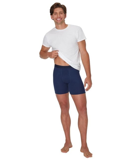 Hanes Blue Ultimate Solid Boxer Briefs for men