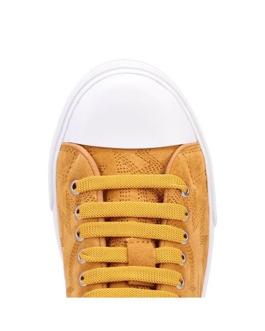Dingo Multicolor Campus Sneaker