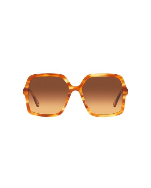 Chloé Brown Square Sunglasses
