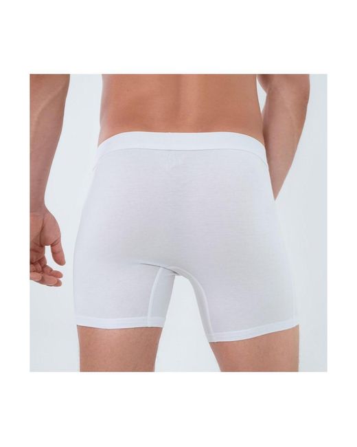 Rounderbum Blue Boxer Brief Essentials 5 Pack for men