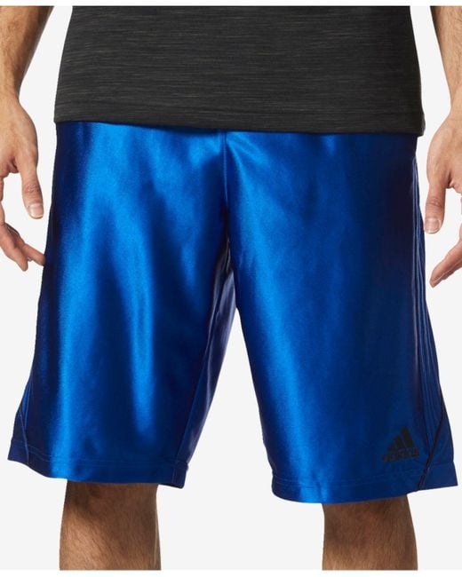 adidas Men s Dazzle Climalite Basketball Shorts in Blue for Men