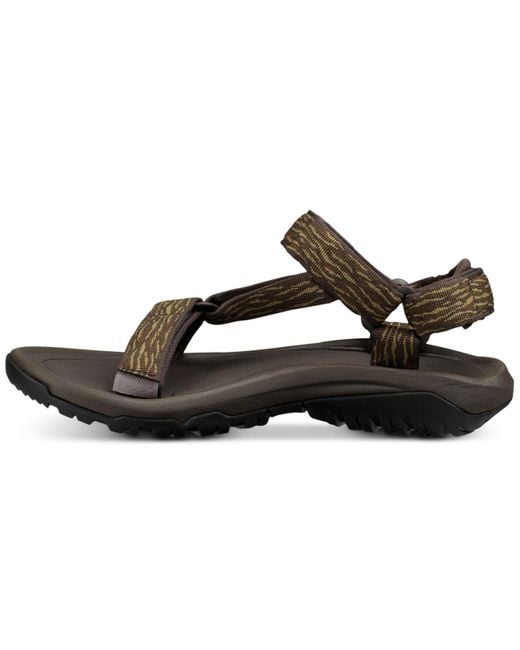 teva hurricane xlt2 dark olive