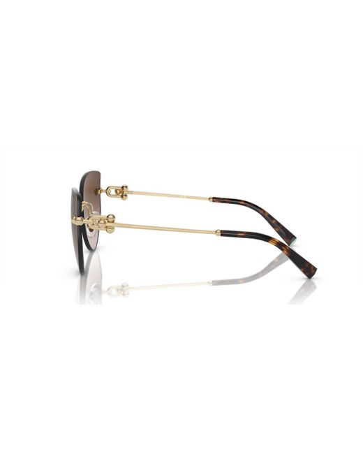 cateye frames for glasses cateye frames for glasses