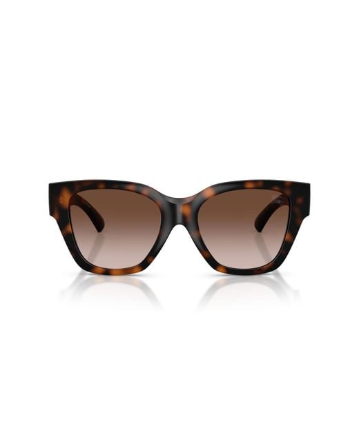 Burberry Brown Square Sunglasses