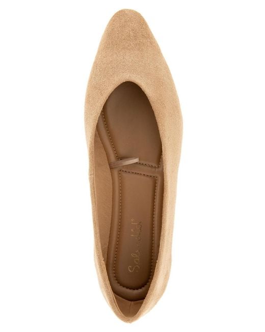 Splendid Brown Latouche Pointed Toe Ballet Flat
