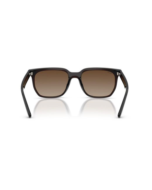 Ray-Ban Brown Square Sunglasses
